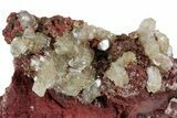 Gemmy Adamite Crystals on Limonite - Ojuela Mine, Mexico #219820-1